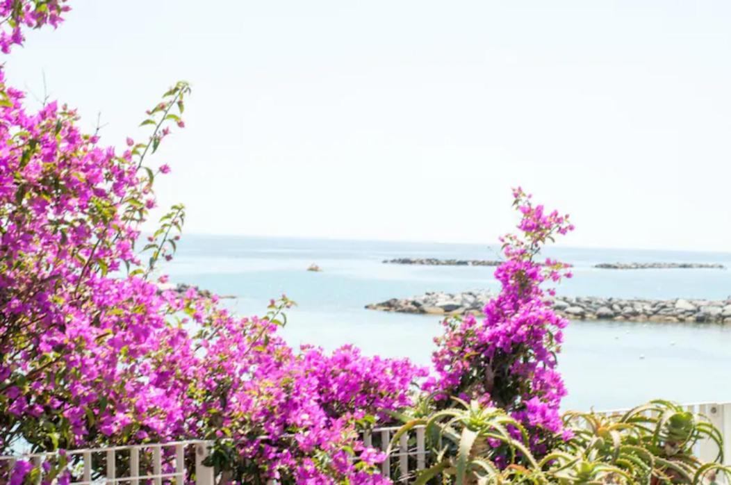 Iris Centralissimo Sanremo Esterno foto